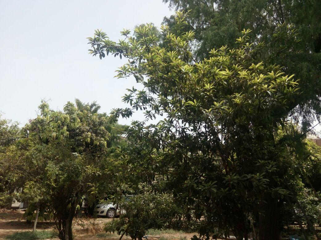 ג'ודפור Nature Trail Camps & Homestay מראה חיצוני תמונה