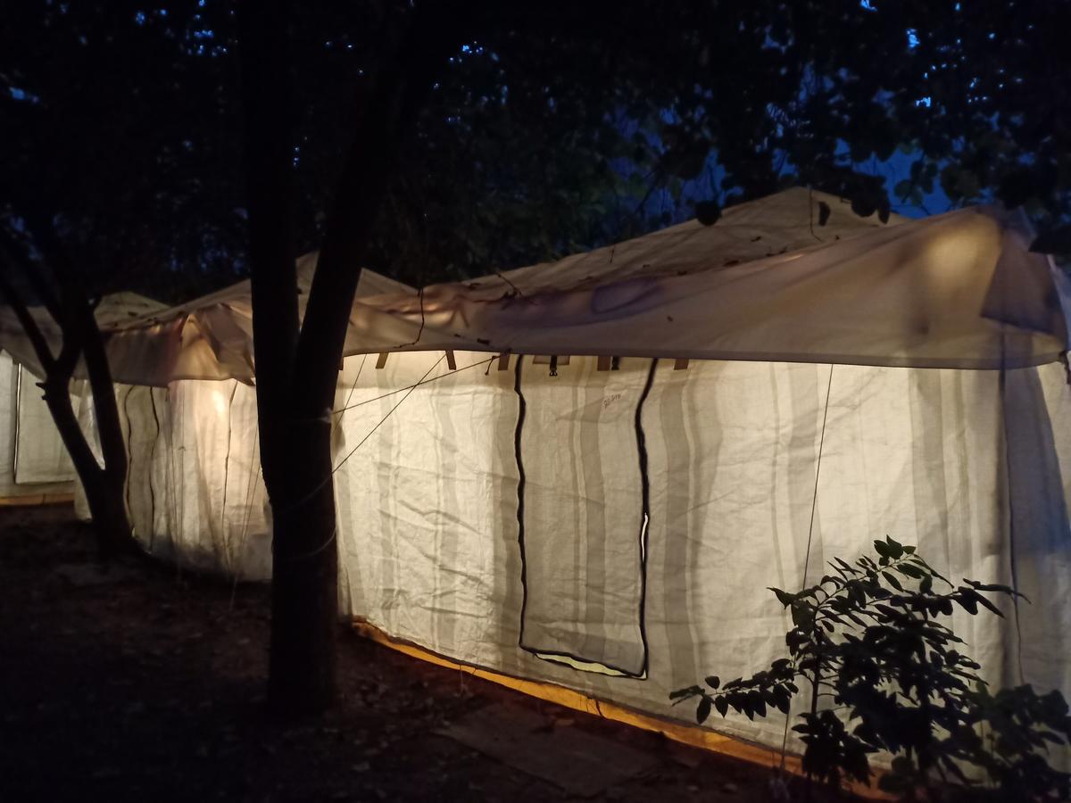 ג'ודפור Nature Trail Camps & Homestay מראה חיצוני תמונה