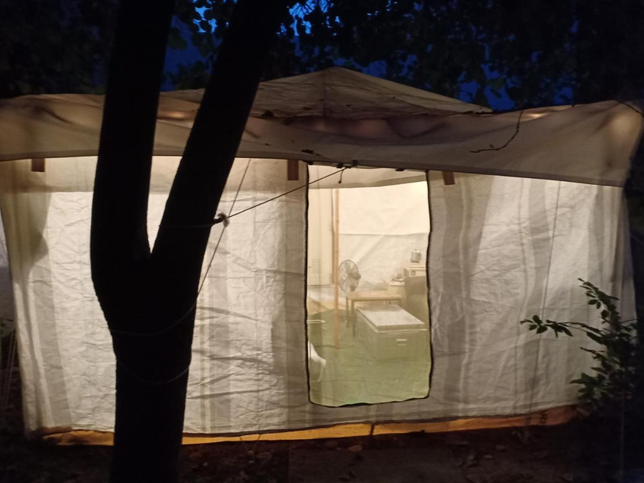 ג'ודפור Nature Trail Camps & Homestay מראה חיצוני תמונה