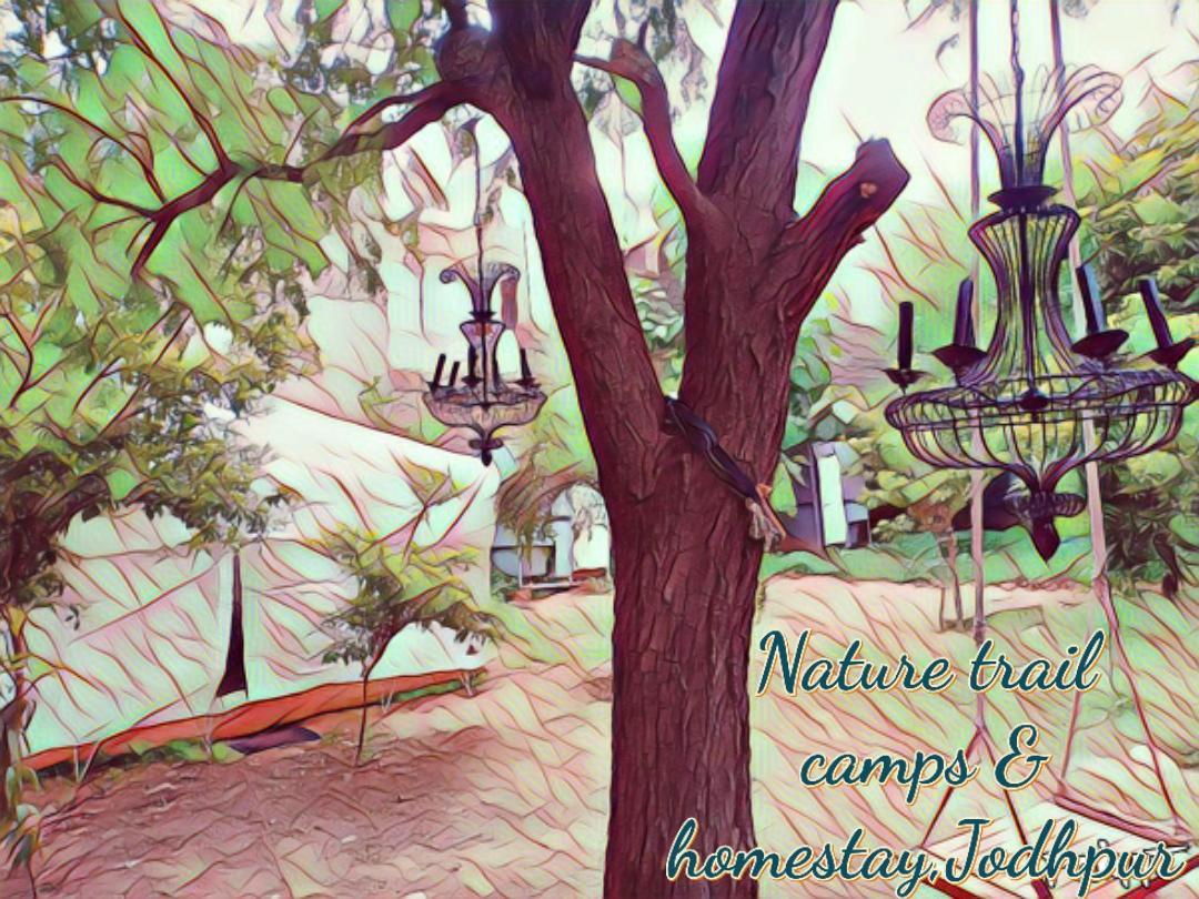 ג'ודפור Nature Trail Camps & Homestay מראה חיצוני תמונה