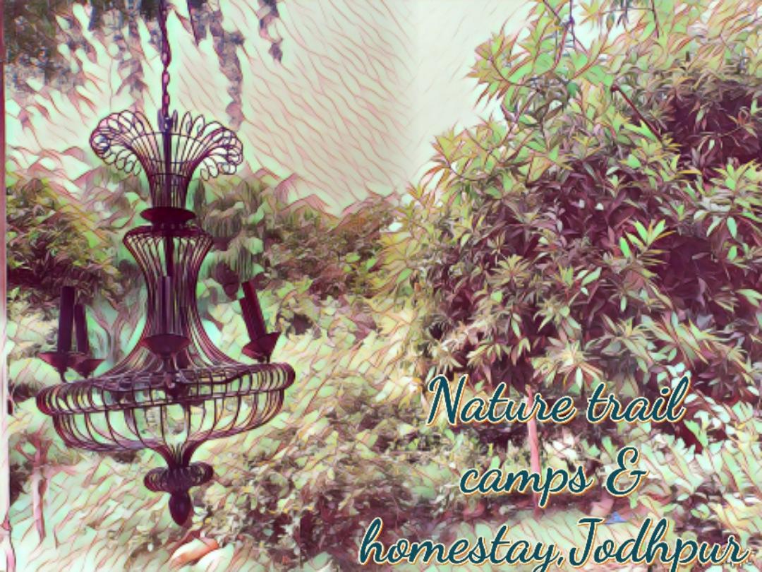 ג'ודפור Nature Trail Camps & Homestay מראה חיצוני תמונה